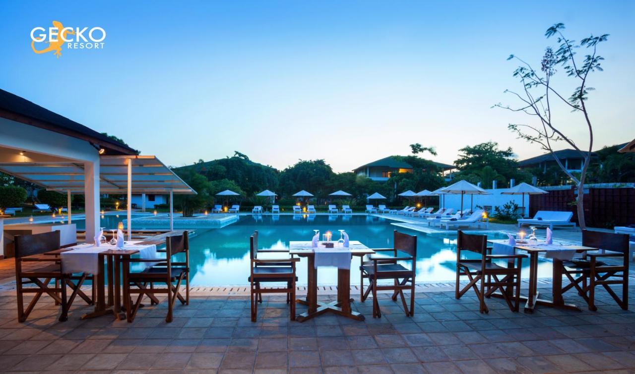 Gecko Resort واتامو المظهر الخارجي الصورة