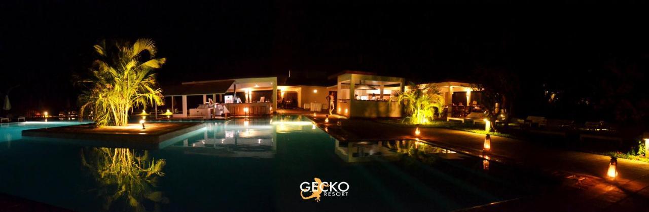 Gecko Resort واتامو المظهر الخارجي الصورة