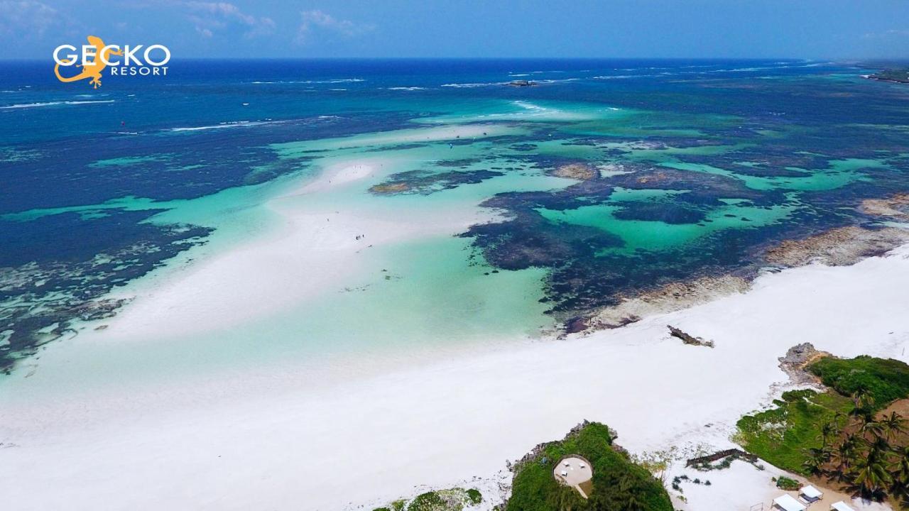 Gecko Resort واتامو المظهر الخارجي الصورة